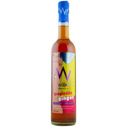 bebida-mista-wiba-tropicalia-ginger-500ml-01594_1