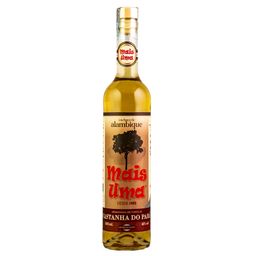 cachaca-mais-uma-castanha-do-para-500ml-122231_1.jpg