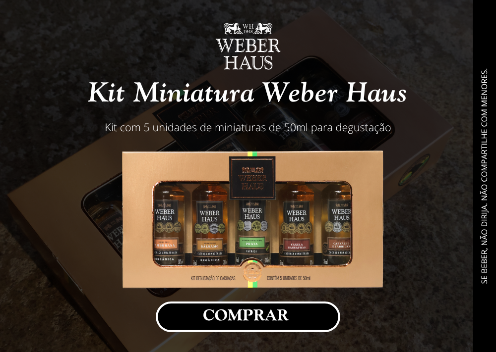MOBILE KIT WEBER HAUS